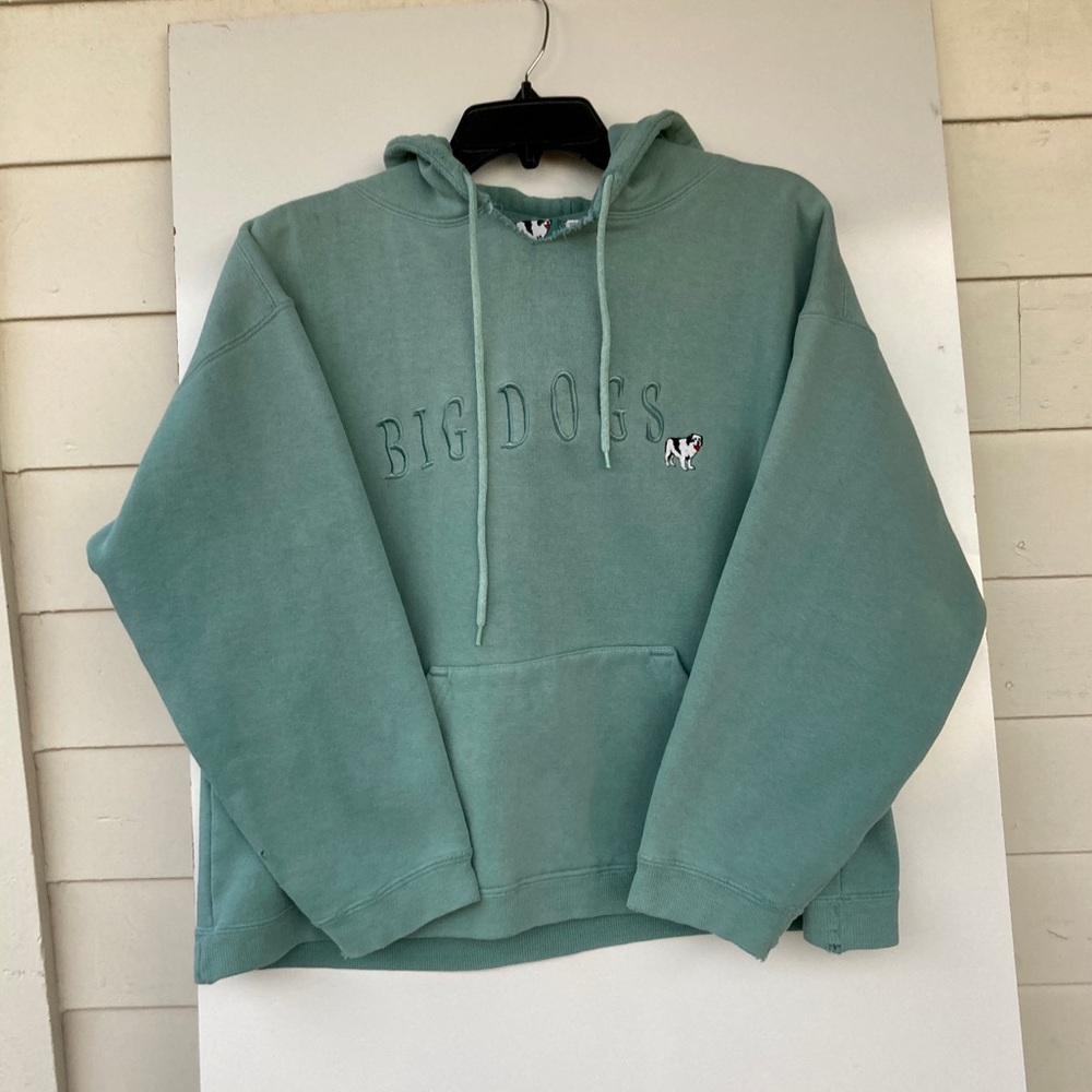 Vintage Big Dogs hoodie Crop Top Medium Mint Green